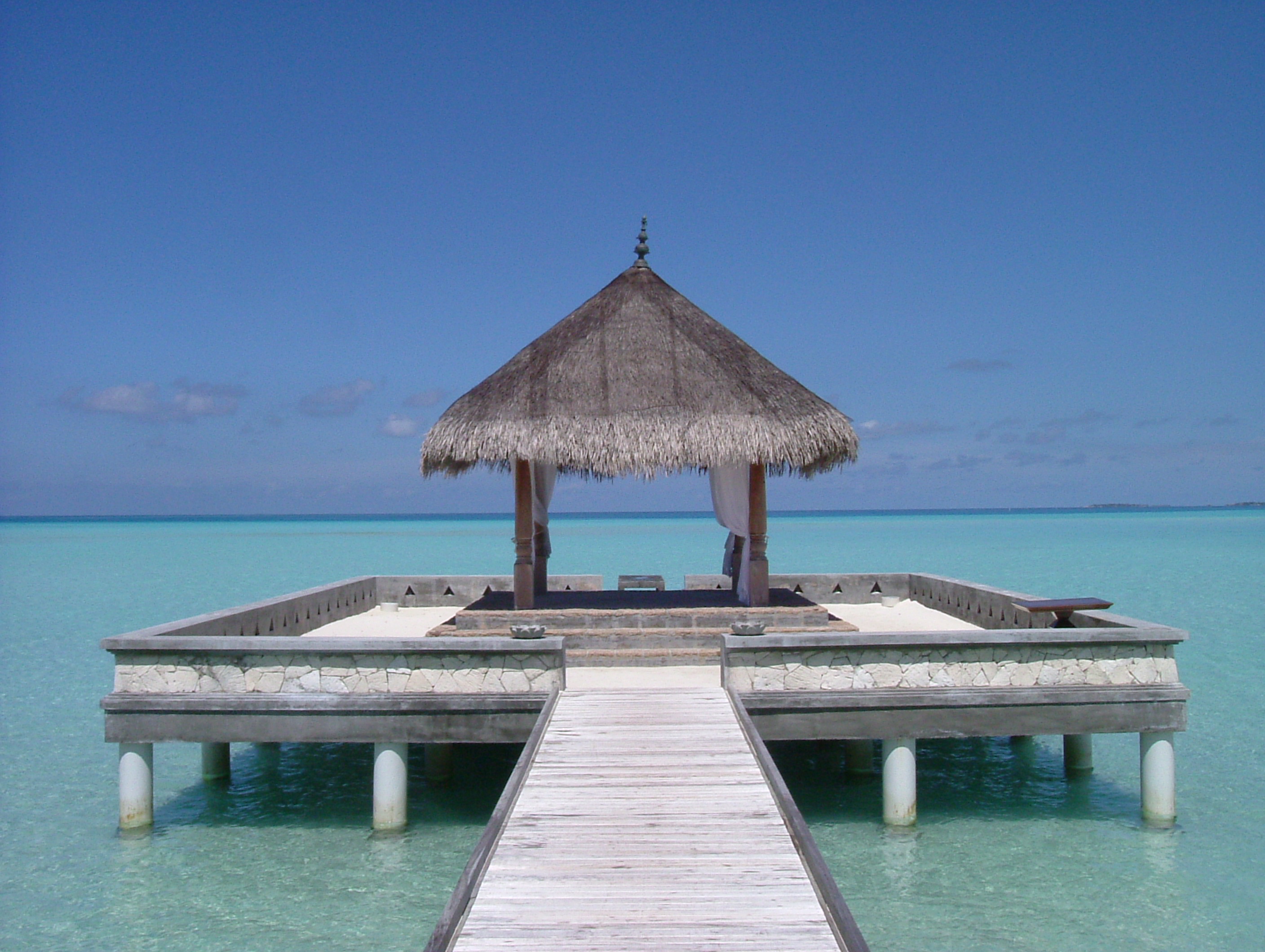 ���B�����������������E�F�f�B���O�p�r���I��